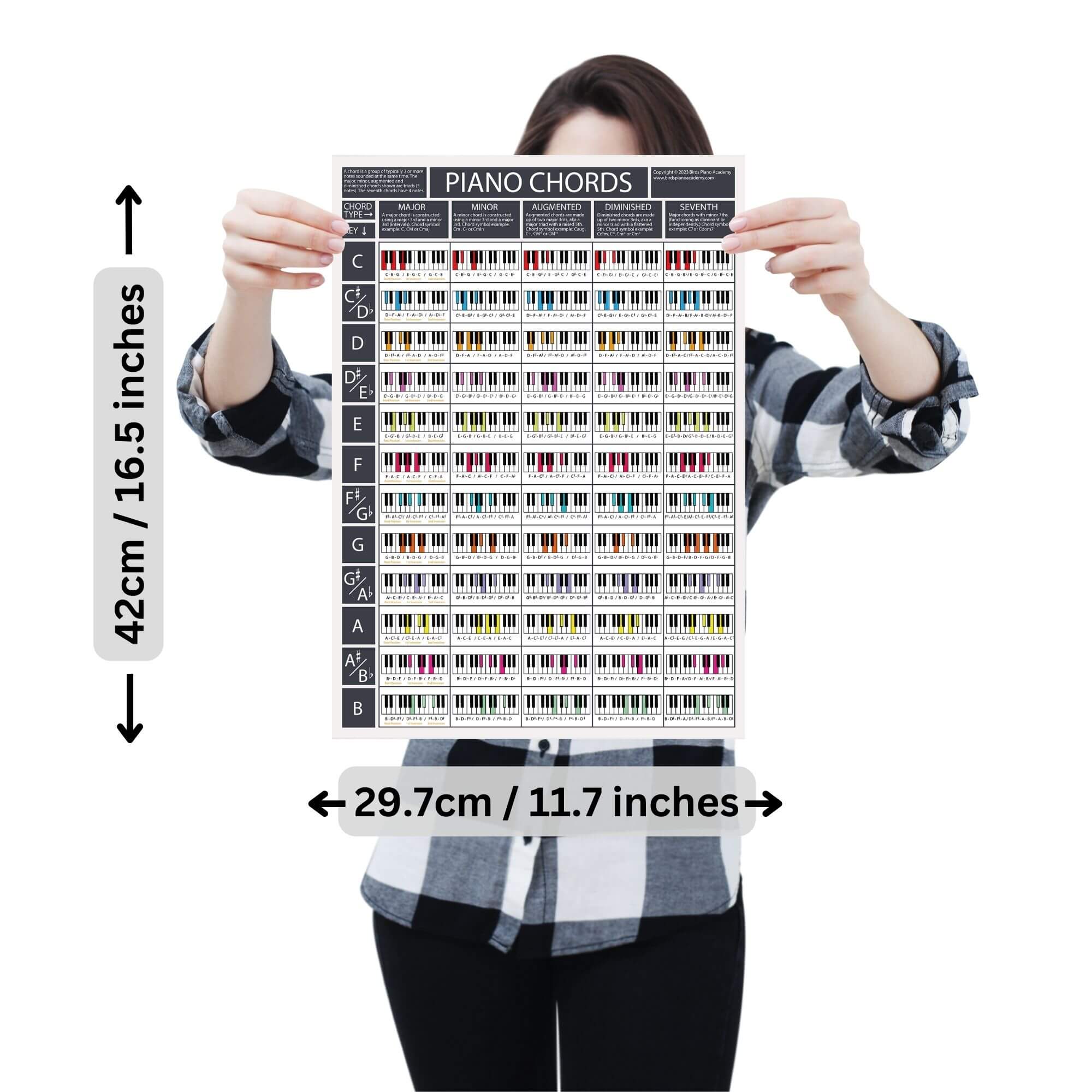 Load image into Gallery viewer, The Piano Chords Poster (Grey)